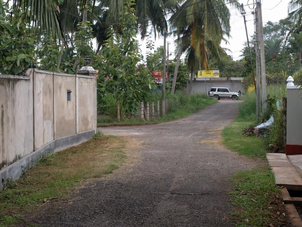 Chelli Homestay Negombo Ngoại thất bức ảnh